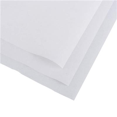 PAPEL MANTECA PURO x 10 Hojas