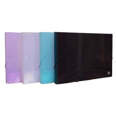 CARPETA SOLAPA Y ELASTICO PLASTICA CAJA A4 Color