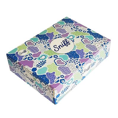 PAÑUELO SNIFF x 75 u.