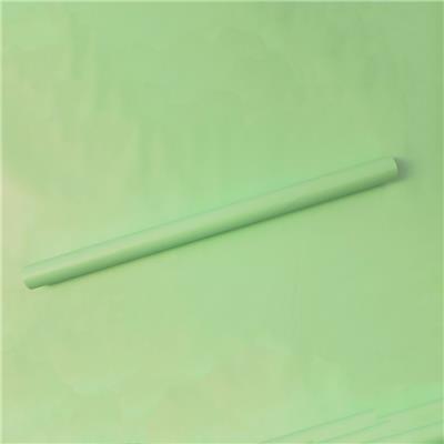 PAPEL ADHESIVO LISO x 2 m. Verde Pastel