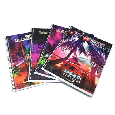 CUADERNO 29,7 x 80 h. ARTE 80