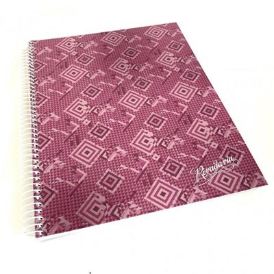 CUADERNO 21x27 x 60 h. Rayado METALIZADO