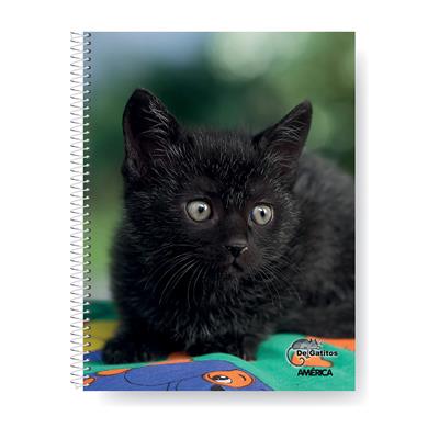 CUADERNO 29,7 x 80 h. De GATITOS Rayado