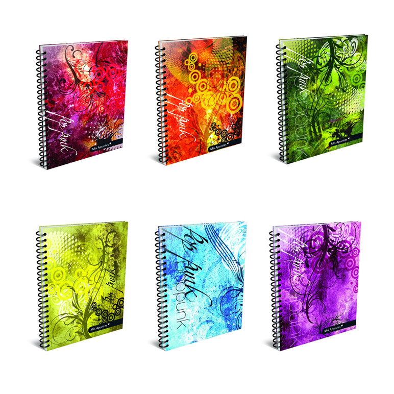 CUADERNO 29,7 x 80 h. APUNTES 4 Elementos Cuadric.