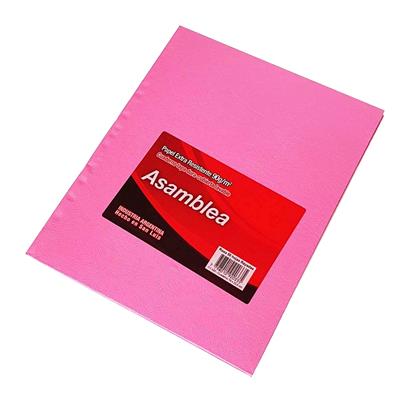 CUADERNO 19x23 Rayado Rosa x 50 h.