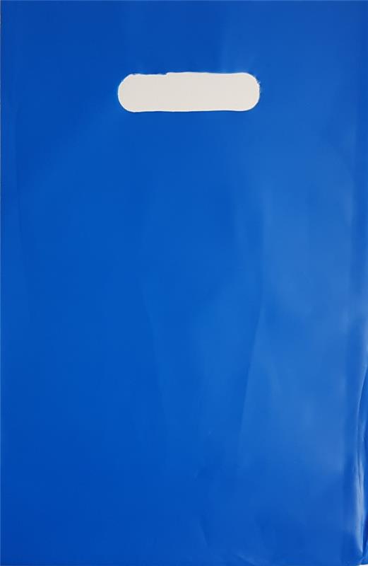 BOLSA RIÑON LISA 20x30 x 50 u.