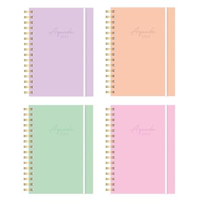 AGENDA ONIX 16x22 PASTEL COLOR Diaria