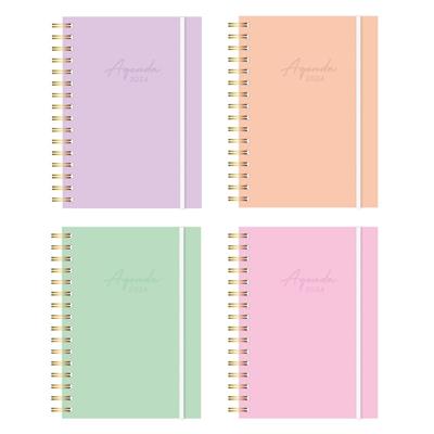 AGENDA ONIX 16x22 PASTEL COLOR Diaria