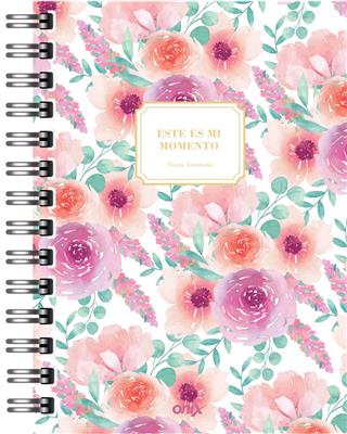 AGENDA ONIX 16x22 Aquamist