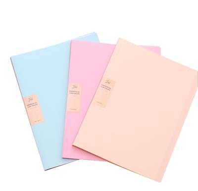 CARPETA FOLIADA A4 x 20 f. Pastel