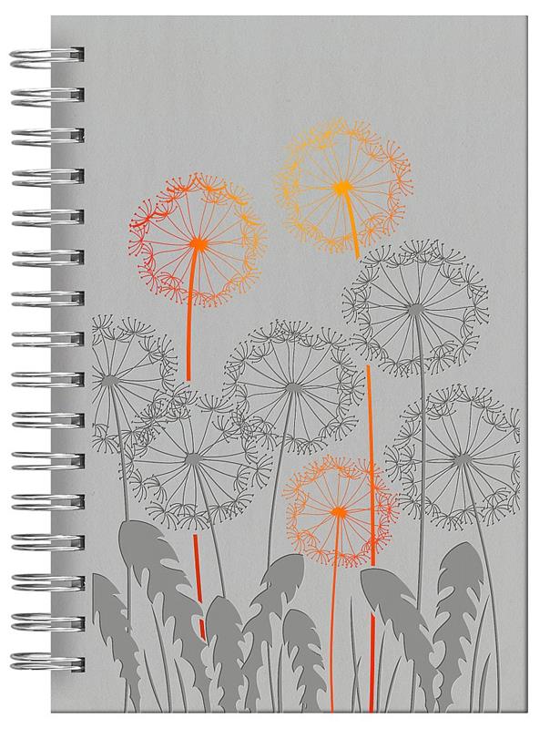 AGENDA TALBOT 15x21 TUCSON Monza